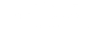 Отель «Элит»